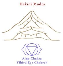 মুদ্রা উপনিষদে ধ্যান, প্রার্থনা ও চেতনাবৃদ্ধির চর্চা