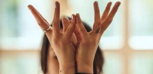 মুদ্রা উপনিষদে ধ্যান, প্রার্থনা ও চেতনাবৃদ্ধির চর্চা