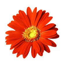 "অমৃত বিন্দু উপনিষদ বাখ্যা, আধ্যাত্মিক শিক্ষা ও ধ্যা